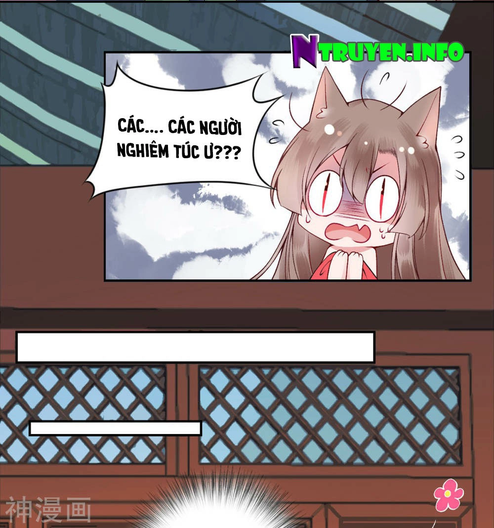 Hoàng Phi 9000 Tuổi Chapter 67 - 23