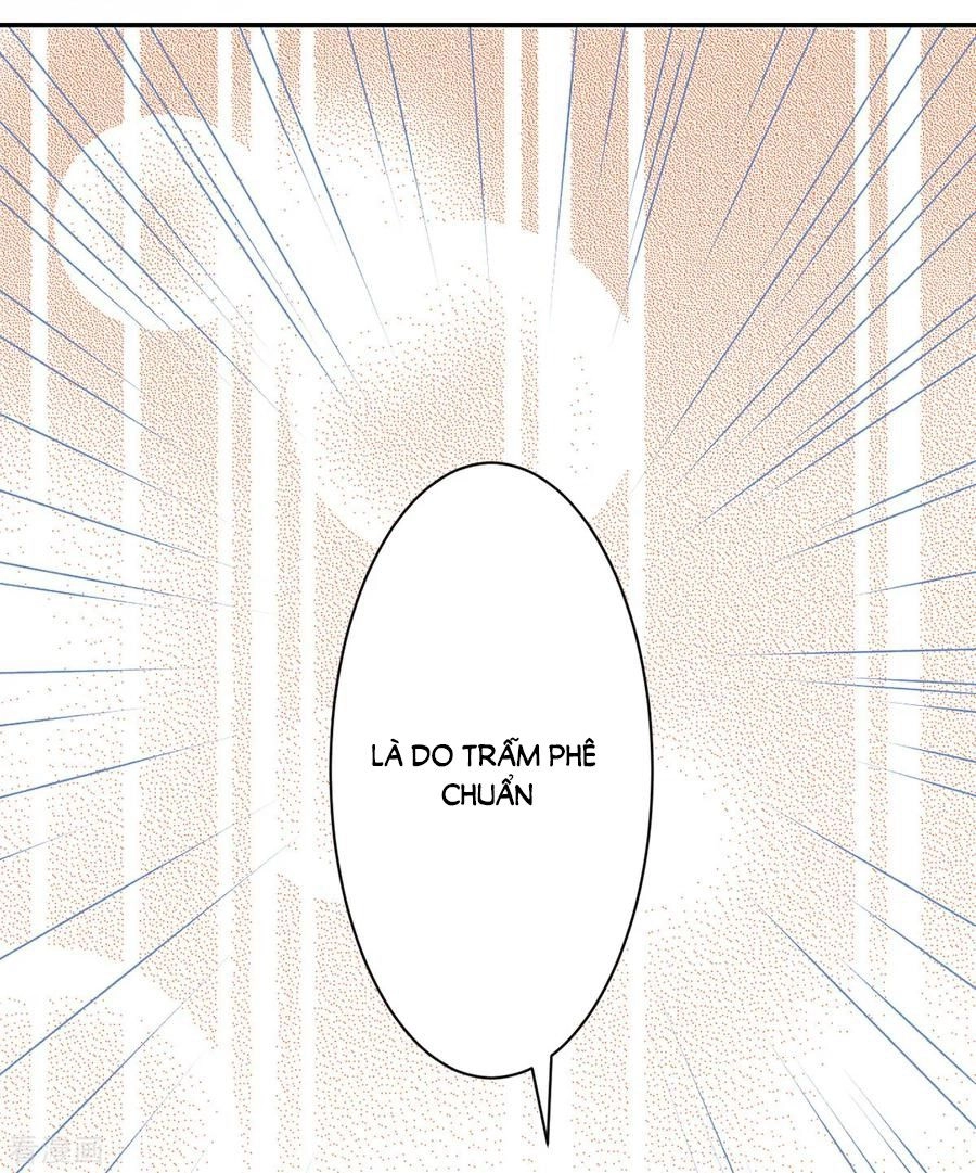 Hoàng Phi 9000 Tuổi Chapter 71 - 26