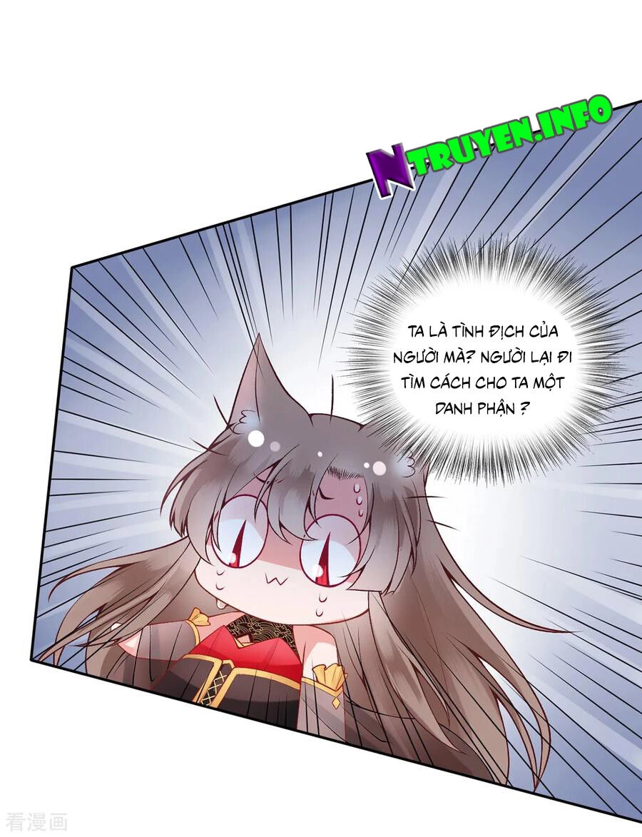 Hoàng Phi 9000 Tuổi Chapter 73 - 8