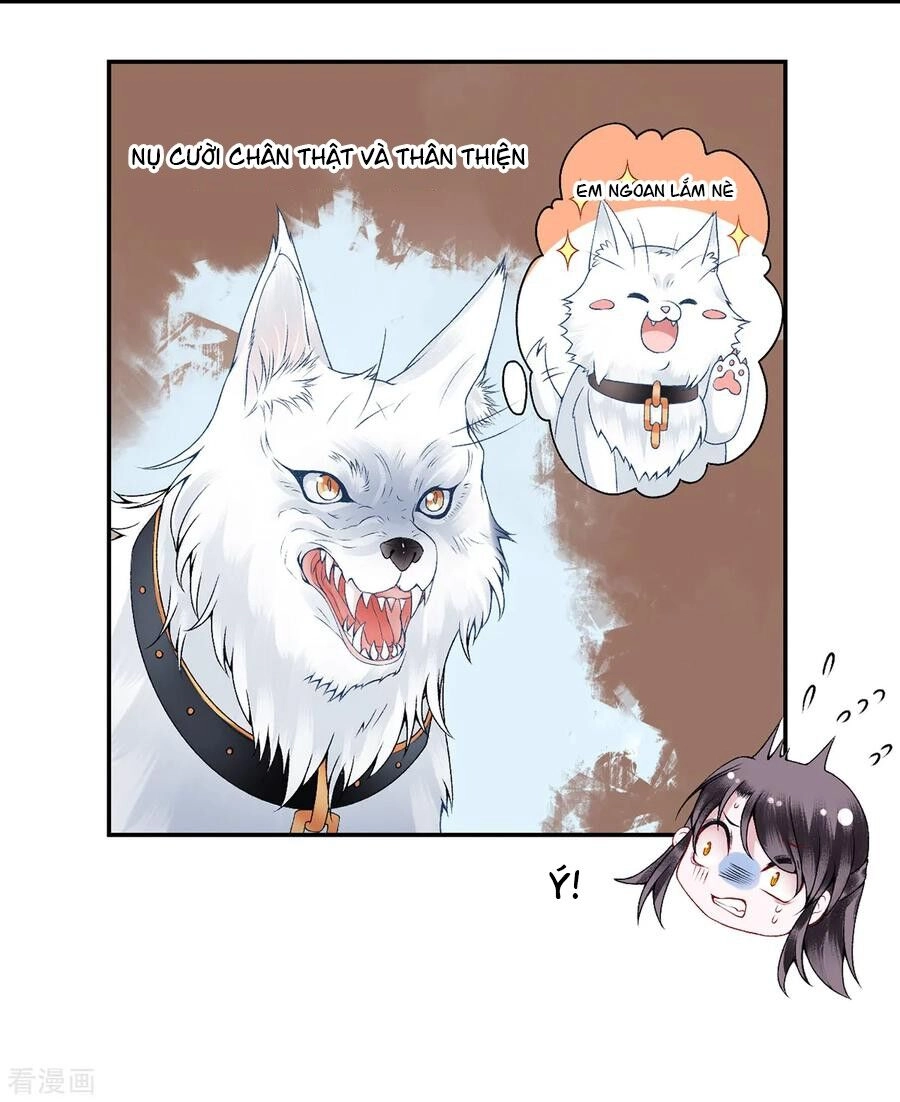 Hoàng Phi 9000 Tuổi Chapter 74 - 27