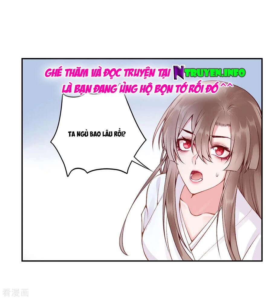 Hoàng Phi 9000 Tuổi Chapter 77 - 30