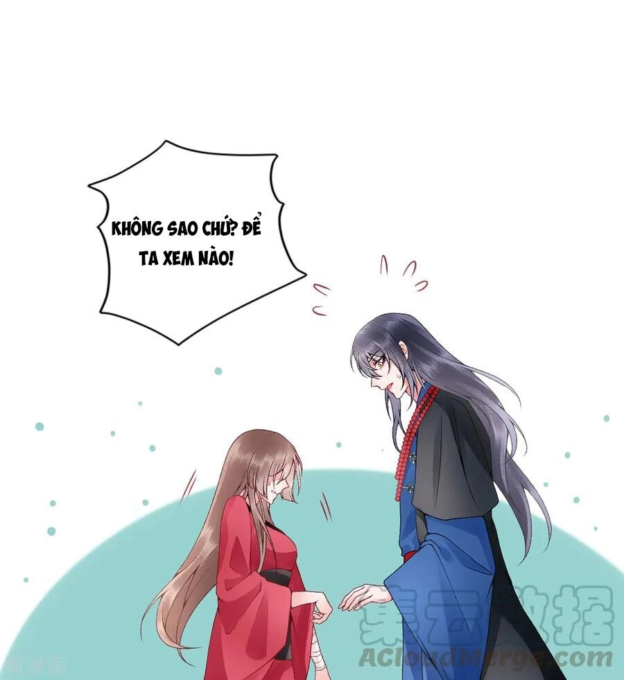 Hoàng Phi 9000 Tuổi Chapter 78 - 22