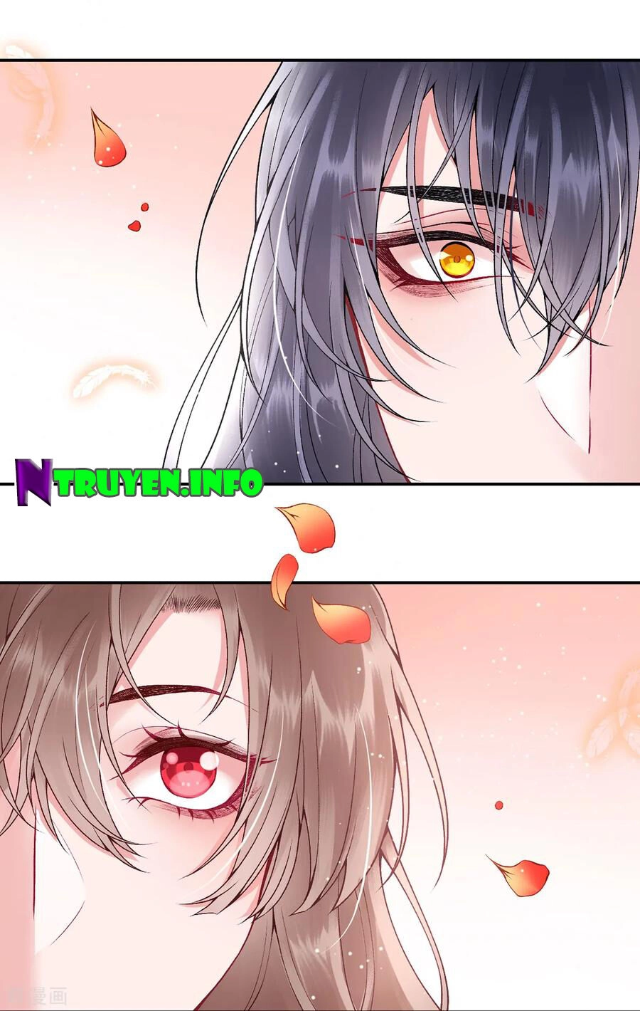 Hoàng Phi 9000 Tuổi Chapter 78 - 26