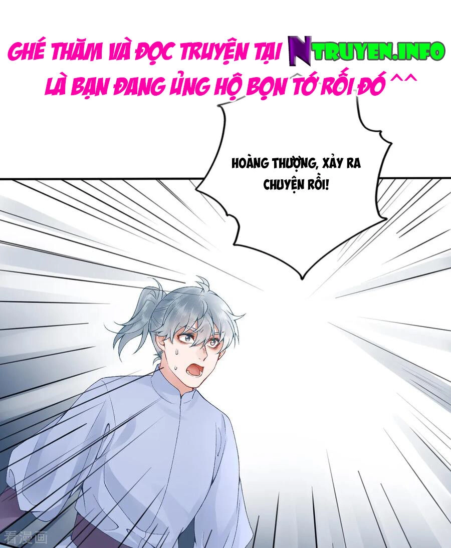 Hoàng Phi 9000 Tuổi Chapter 78 - 33