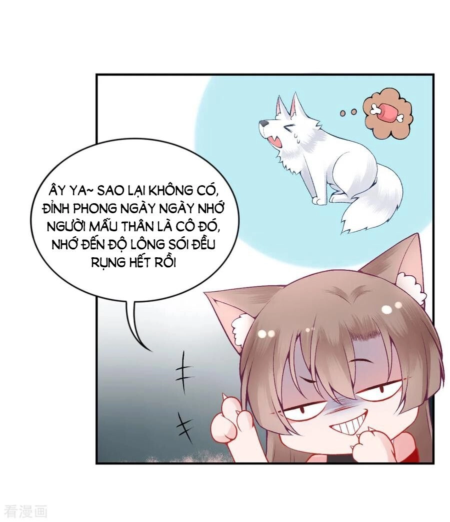 Hoàng Phi 9000 Tuổi Chapter 82 - 26