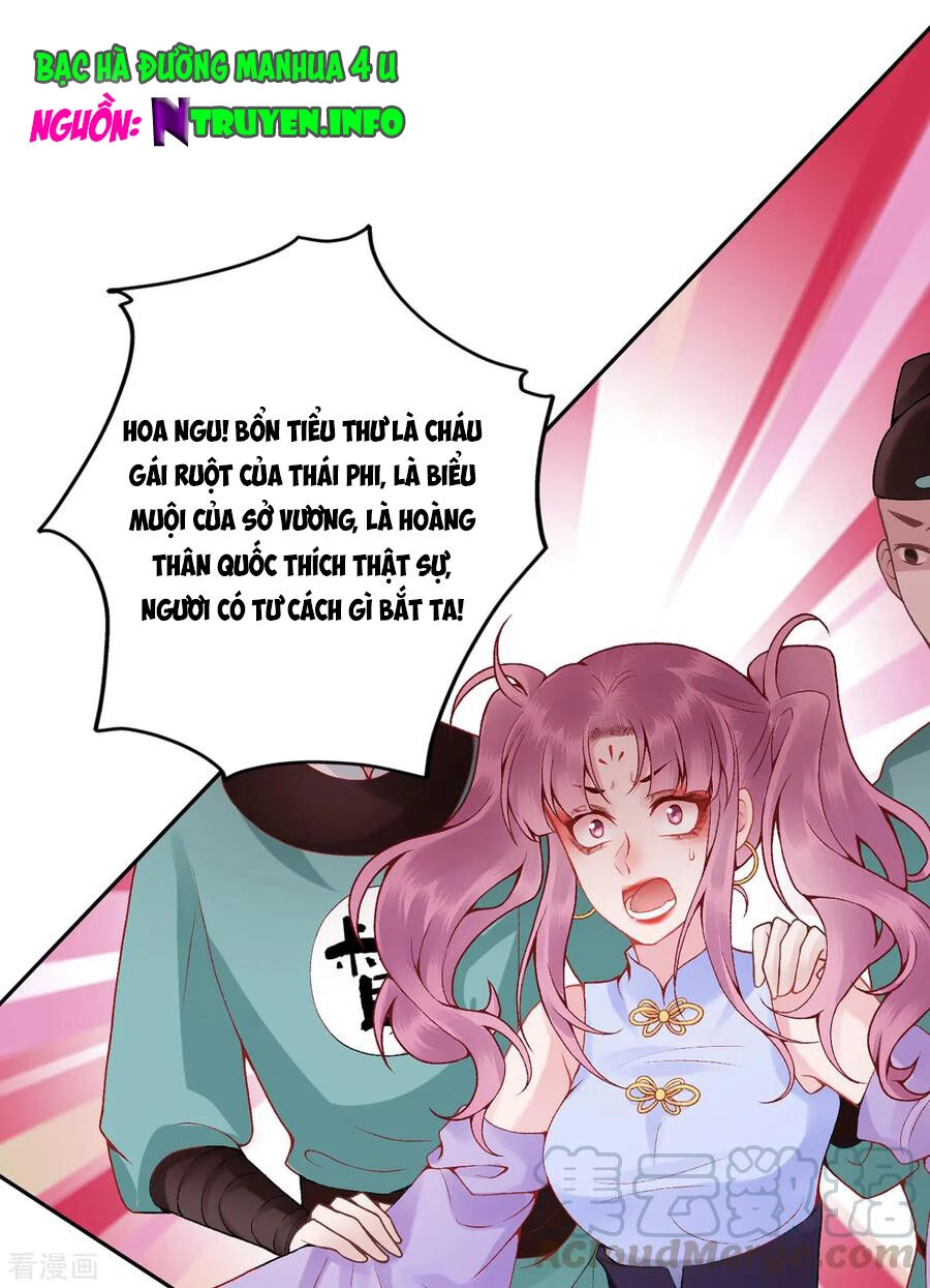 Hoàng Phi 9000 Tuổi Chapter 84 - 1