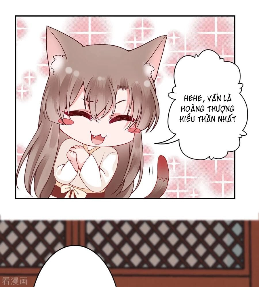 Hoàng Phi 9000 Tuổi Chapter 84 - 14