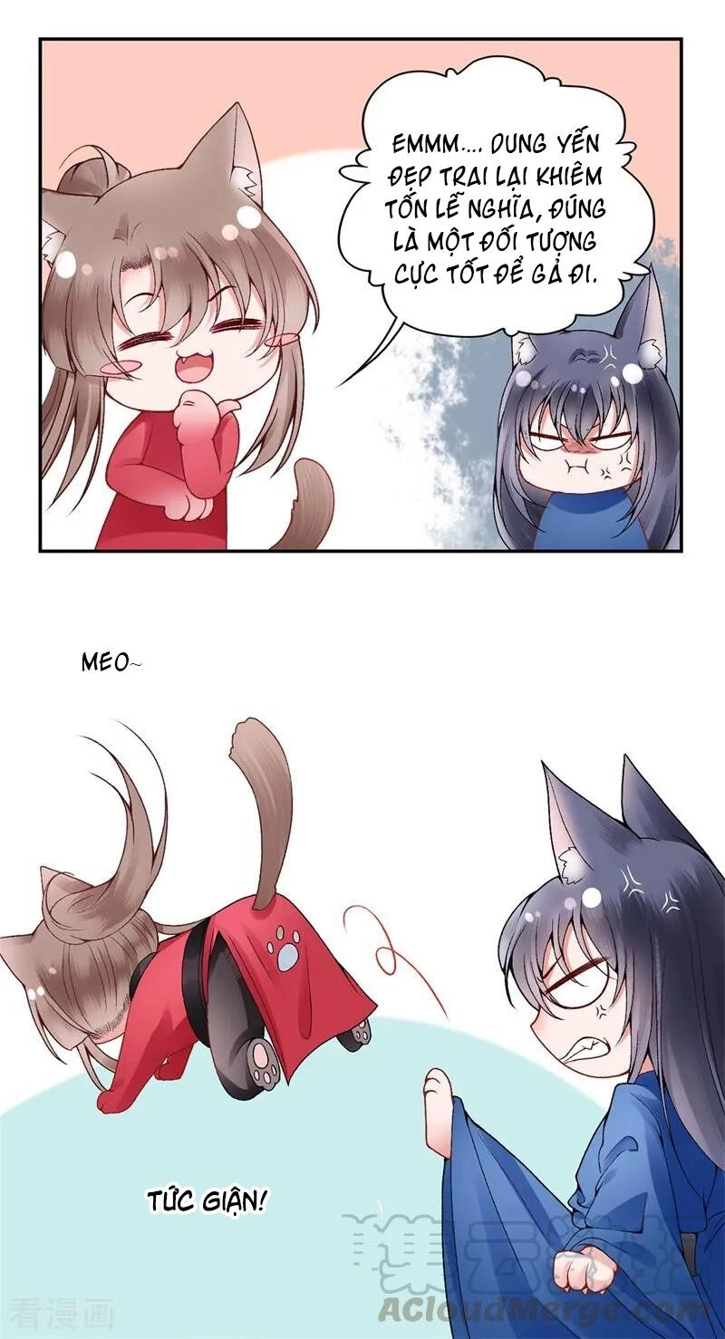 Hoàng Phi 9000 Tuổi Chapter 87 - 19