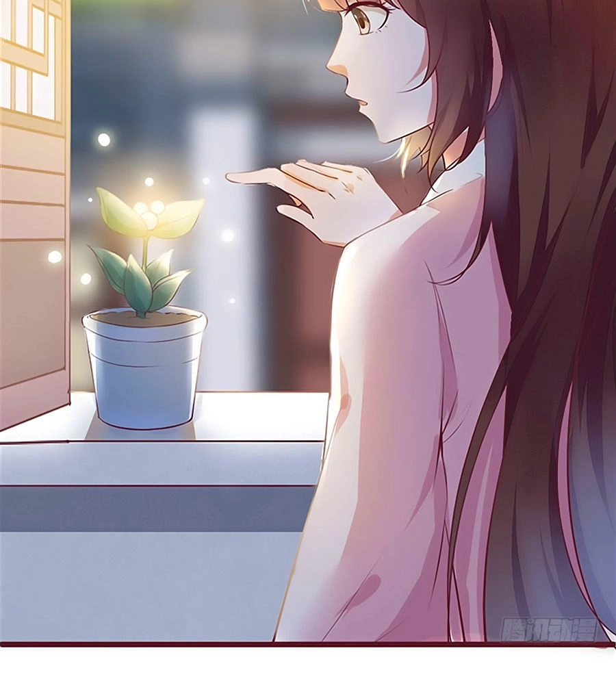 Thần Y Khí Nữ: Ngự Thú Cuồng Phi Của Quỷ Đế Chapter 3 - 19