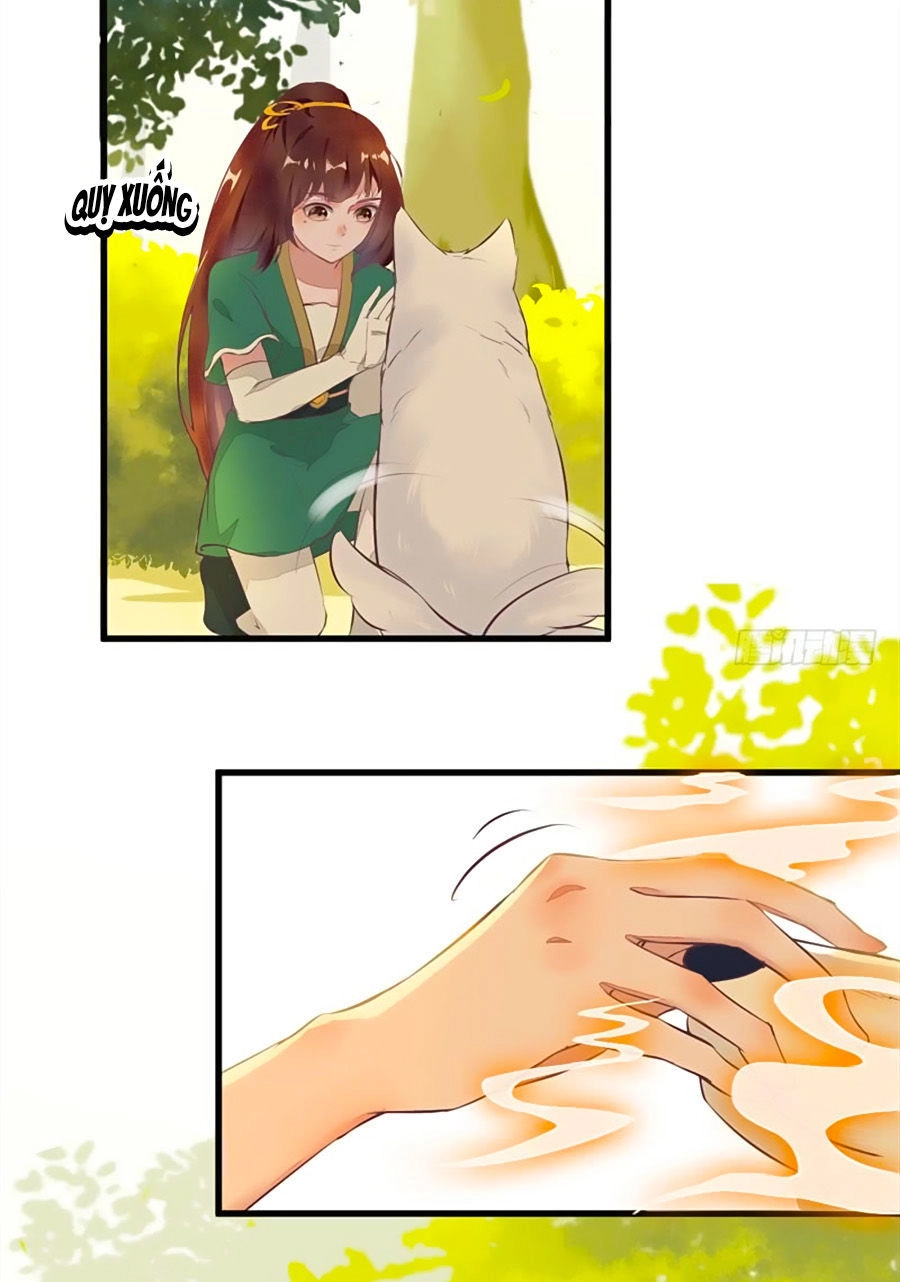 Thần Y Khí Nữ: Ngự Thú Cuồng Phi Của Quỷ Đế Chapter 25 - 6