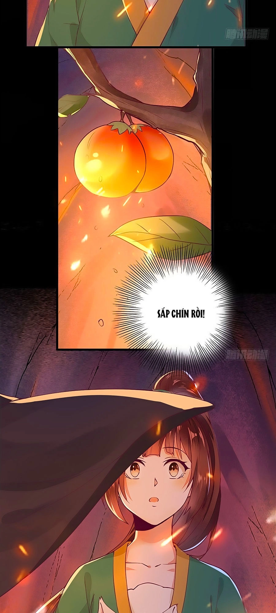 Thần Y Khí Nữ: Ngự Thú Cuồng Phi Của Quỷ Đế Chapter 28 - 2