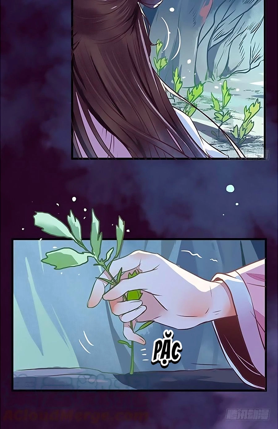 Thần Y Khí Nữ: Ngự Thú Cuồng Phi Của Quỷ Đế Chapter 32 - 7