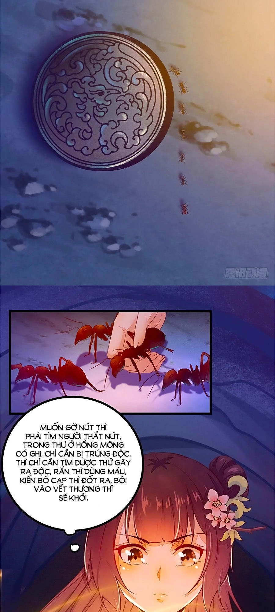 Thần Y Khí Nữ: Ngự Thú Cuồng Phi Của Quỷ Đế Chapter 33 - 5