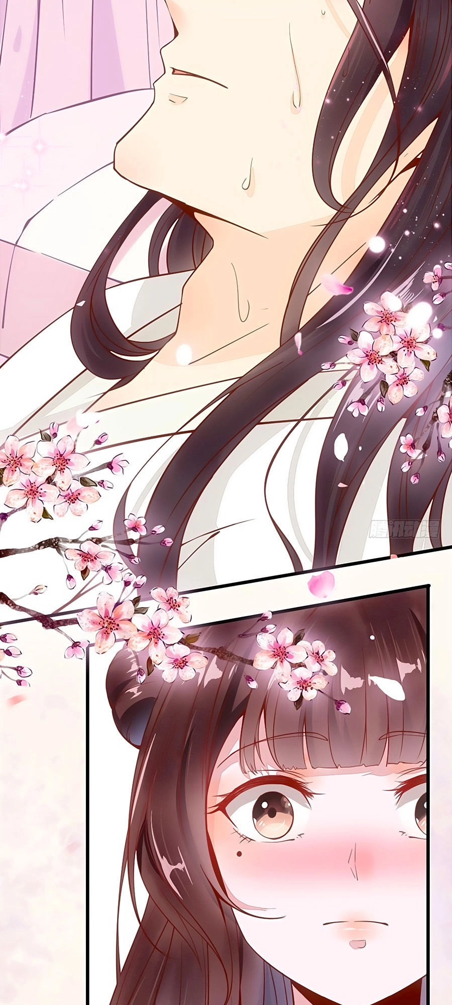 Thần Y Khí Nữ: Ngự Thú Cuồng Phi Của Quỷ Đế Chapter 35 - 10