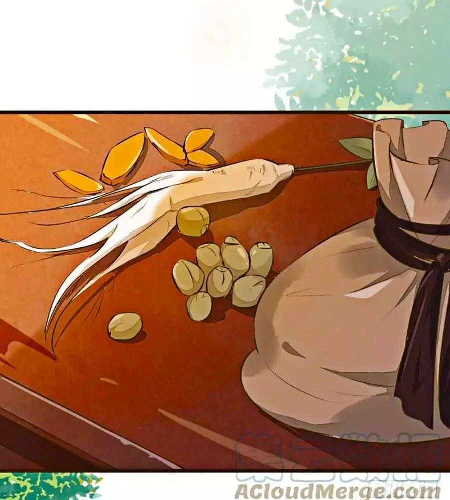 Thần Y Khí Nữ: Ngự Thú Cuồng Phi Của Quỷ Đế Chapter 48 - 9