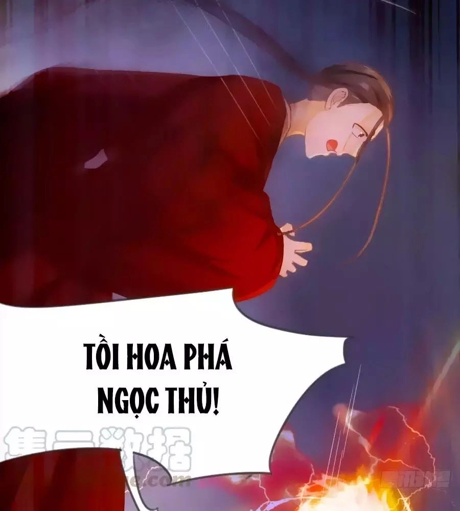 Thần Y Khí Nữ: Ngự Thú Cuồng Phi Của Quỷ Đế Chapter 58 - 52