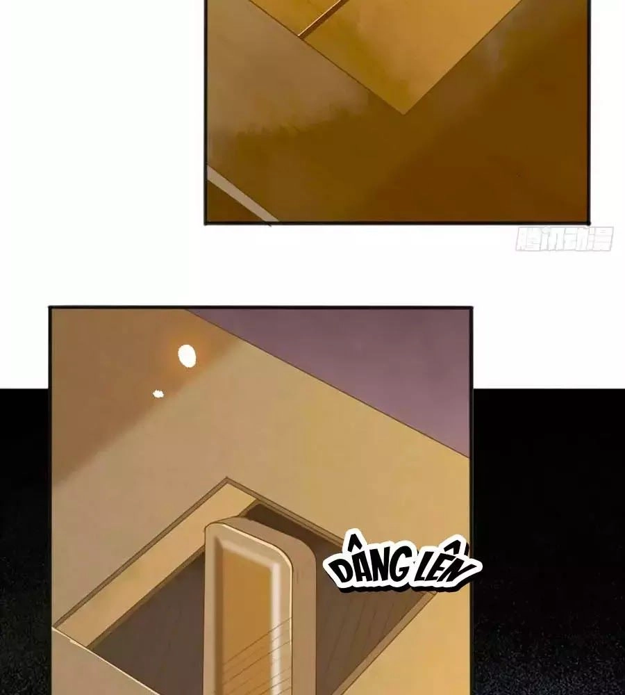 Thần Y Khí Nữ: Ngự Thú Cuồng Phi Của Quỷ Đế Chapter 60 - 19