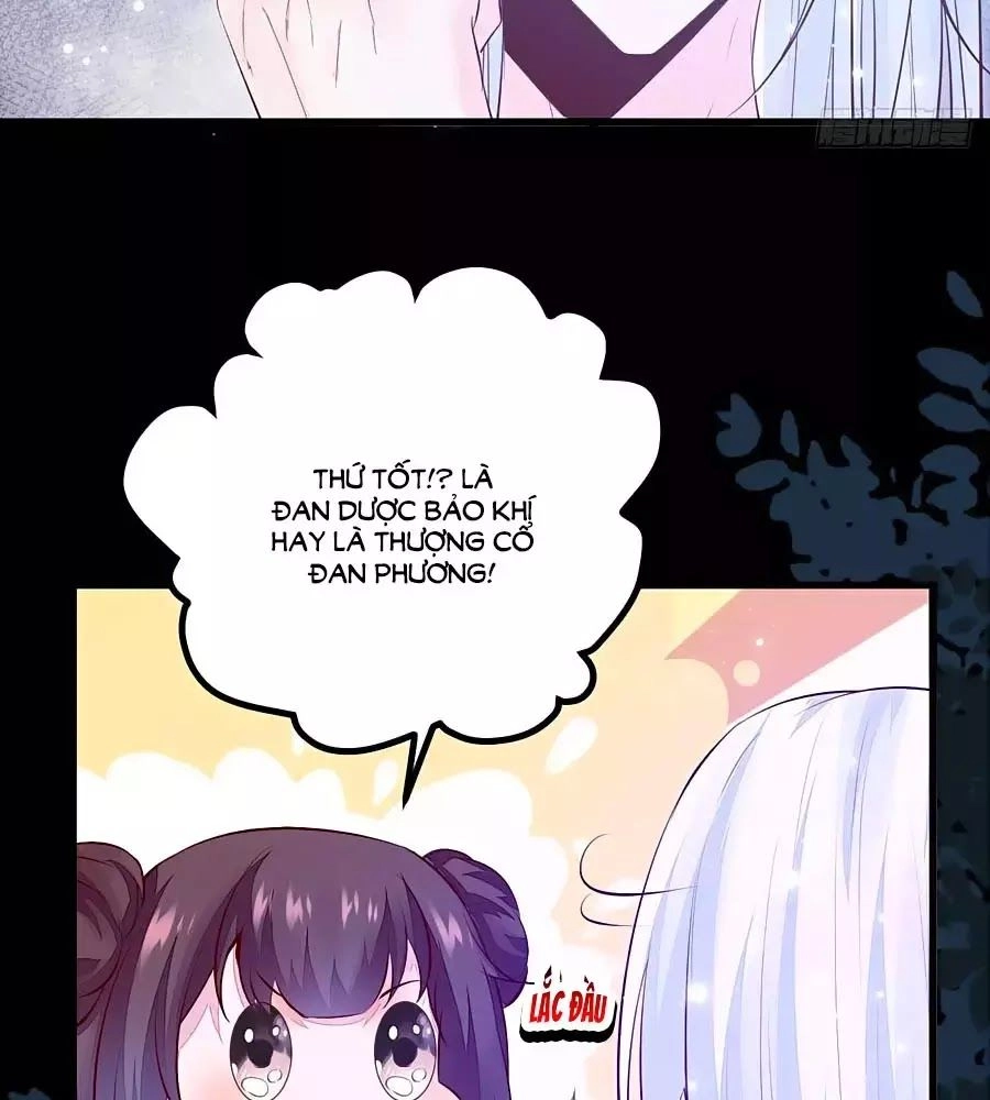 Thần Y Khí Nữ: Ngự Thú Cuồng Phi Của Quỷ Đế Chapter 61 - 19