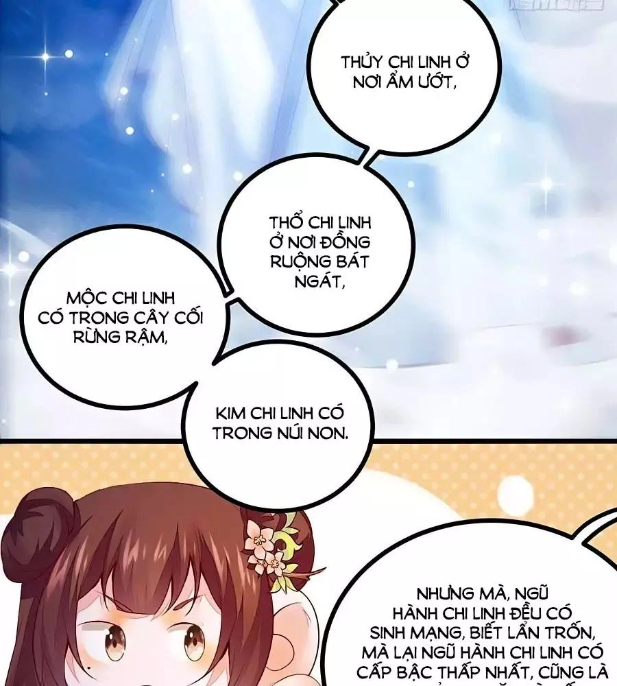 Thần Y Khí Nữ: Ngự Thú Cuồng Phi Của Quỷ Đế Chapter 61 - 26