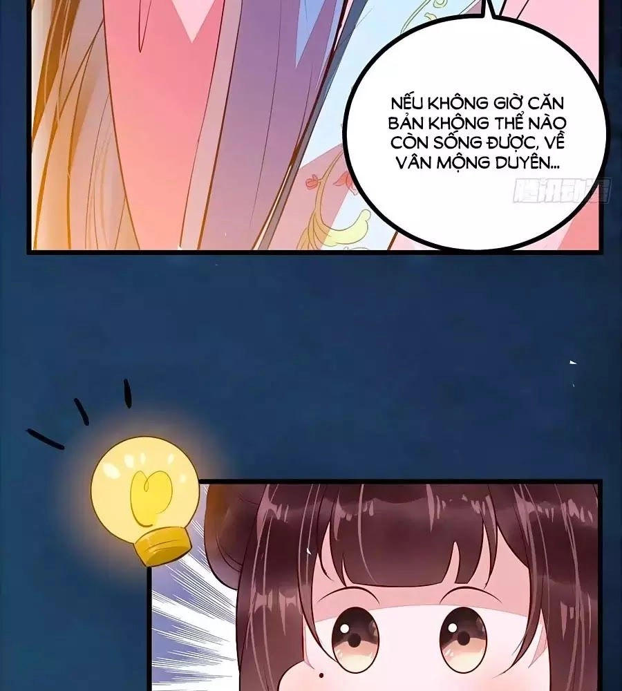 Thần Y Khí Nữ: Ngự Thú Cuồng Phi Của Quỷ Đế Chapter 61 - 55