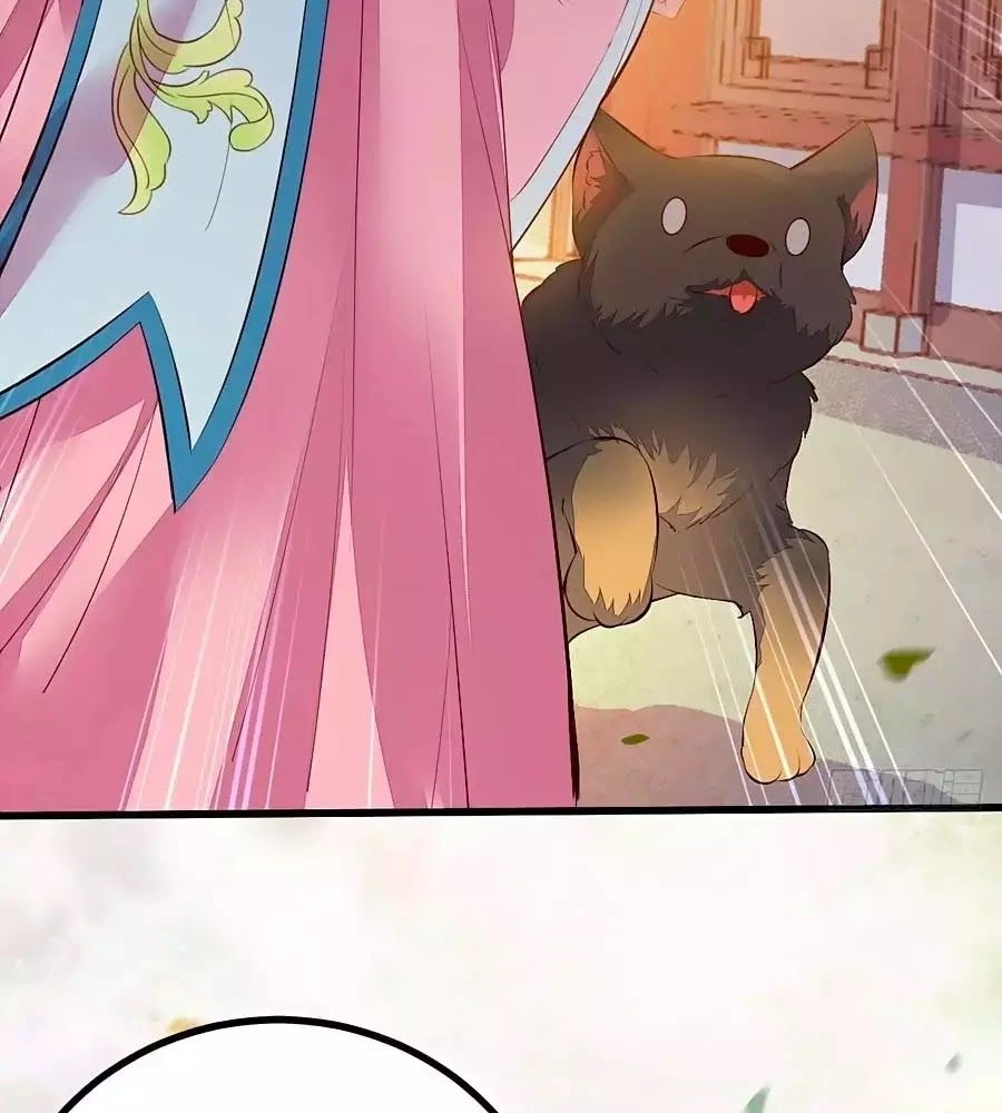 Thần Y Khí Nữ: Ngự Thú Cuồng Phi Của Quỷ Đế Chapter 61 - 64