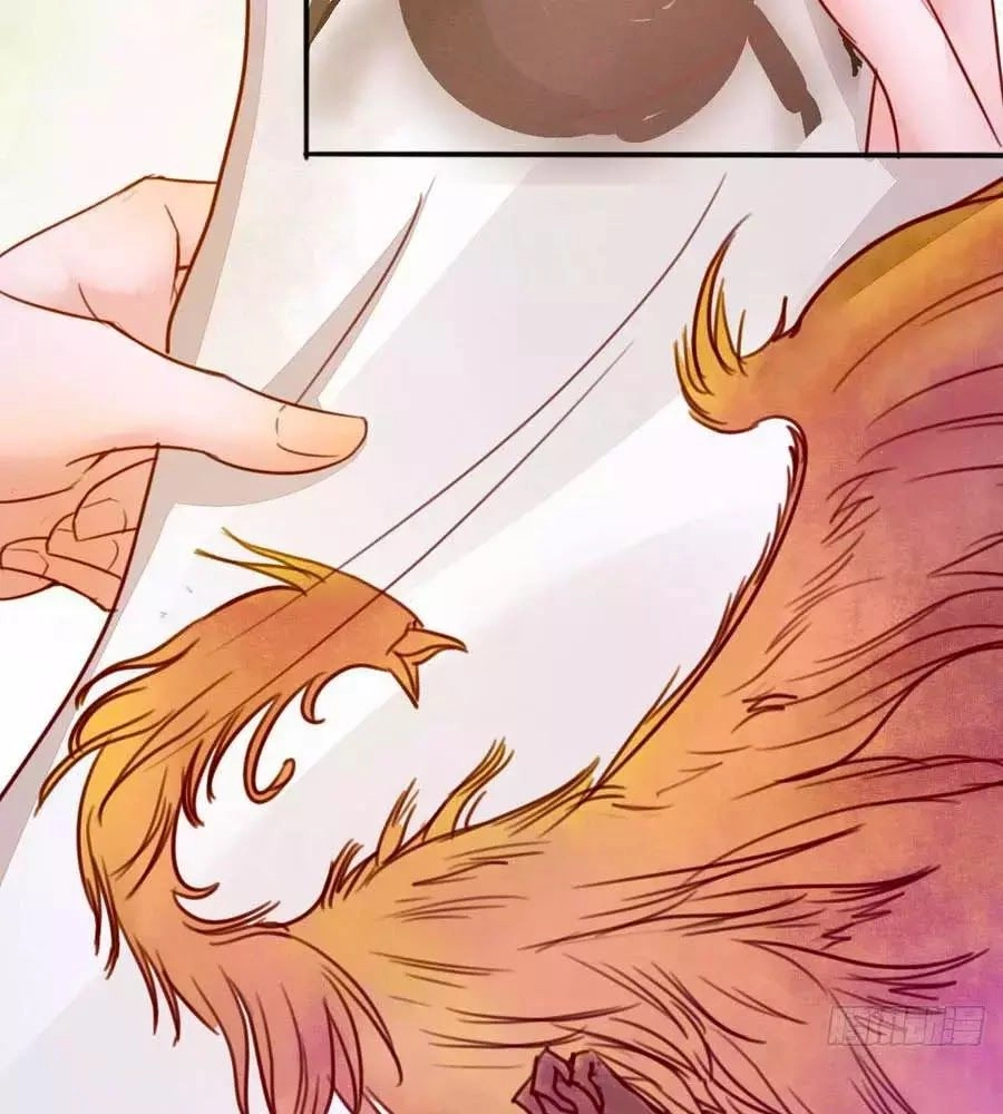 Thần Y Khí Nữ: Ngự Thú Cuồng Phi Của Quỷ Đế Chapter 62 - 3