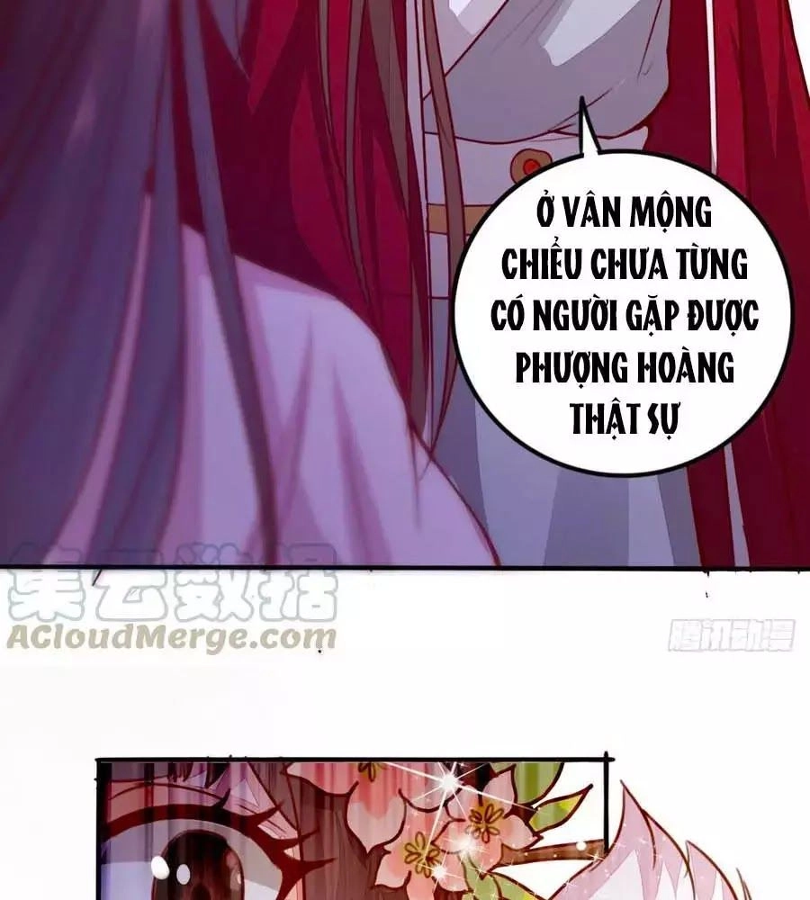 Thần Y Khí Nữ: Ngự Thú Cuồng Phi Của Quỷ Đế Chapter 62 - 7