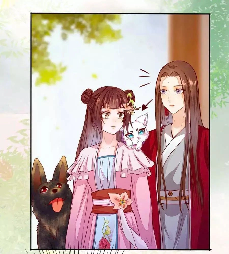 Thần Y Khí Nữ: Ngự Thú Cuồng Phi Của Quỷ Đế Chapter 62 - 10