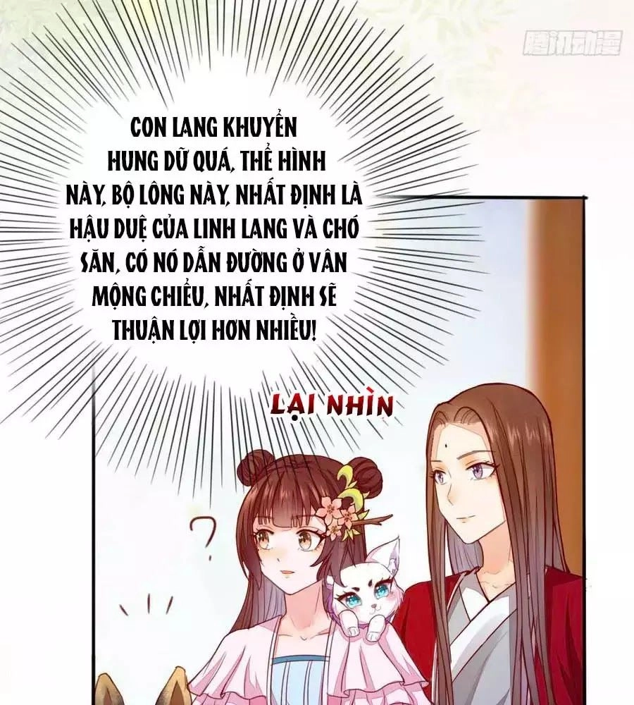 Thần Y Khí Nữ: Ngự Thú Cuồng Phi Của Quỷ Đế Chapter 62 - 11