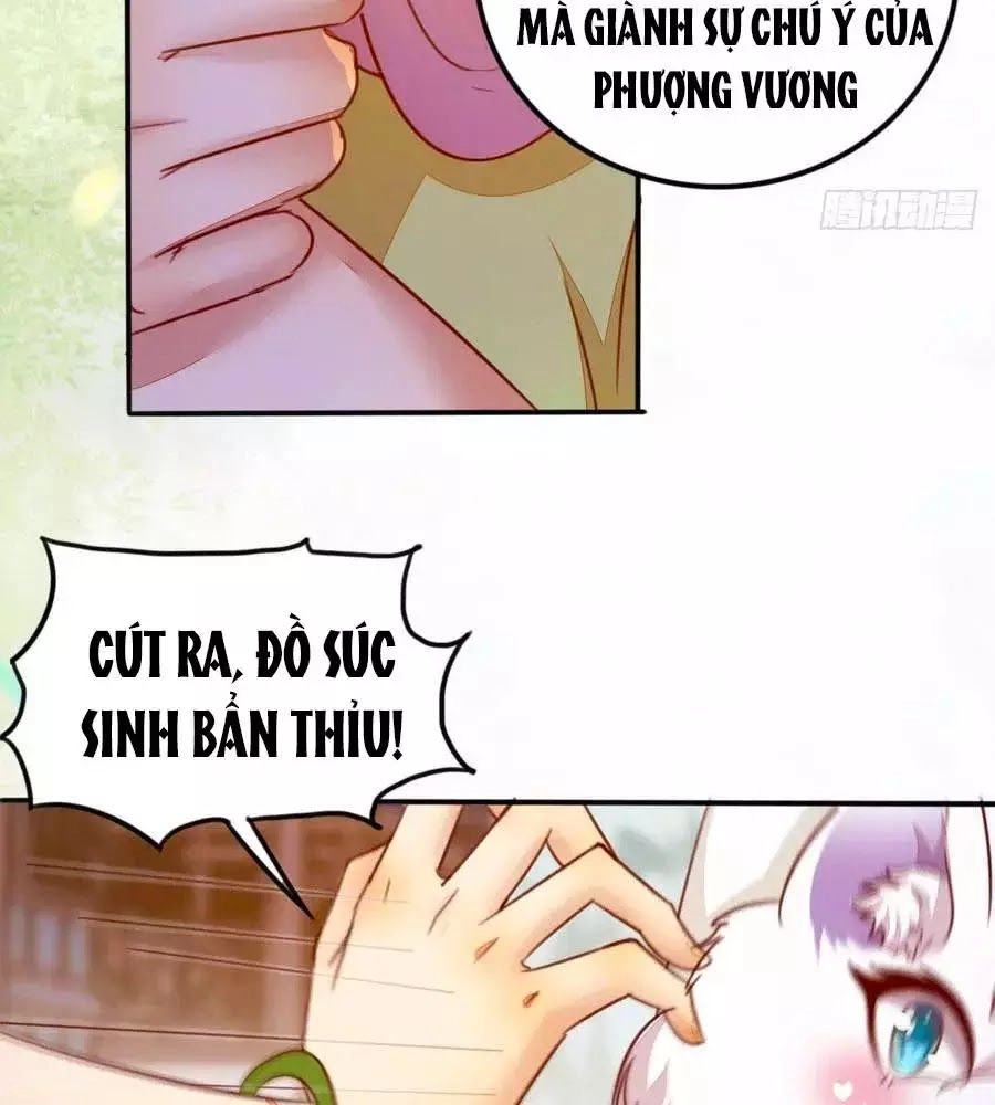 Thần Y Khí Nữ: Ngự Thú Cuồng Phi Của Quỷ Đế Chapter 62 - 31