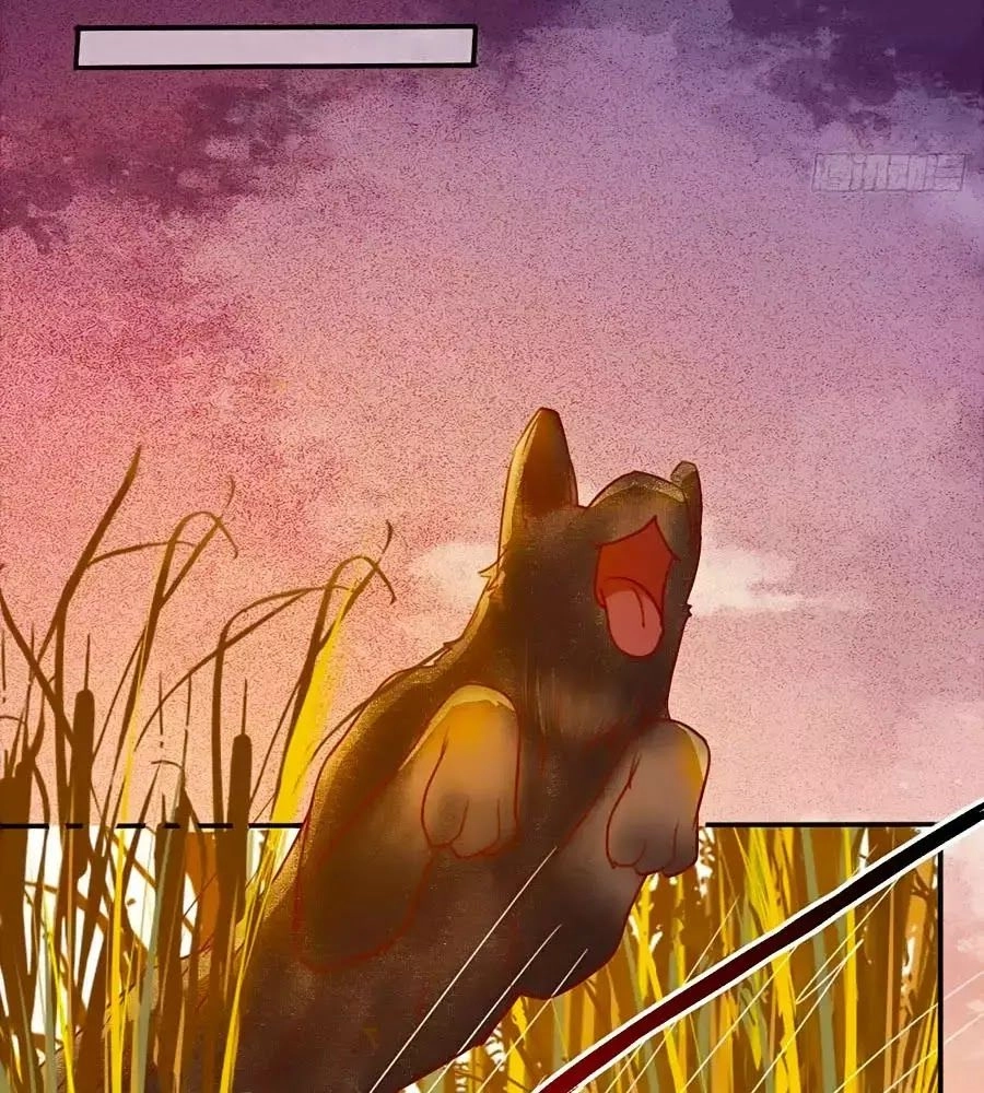 Thần Y Khí Nữ: Ngự Thú Cuồng Phi Của Quỷ Đế Chapter 63 - 52