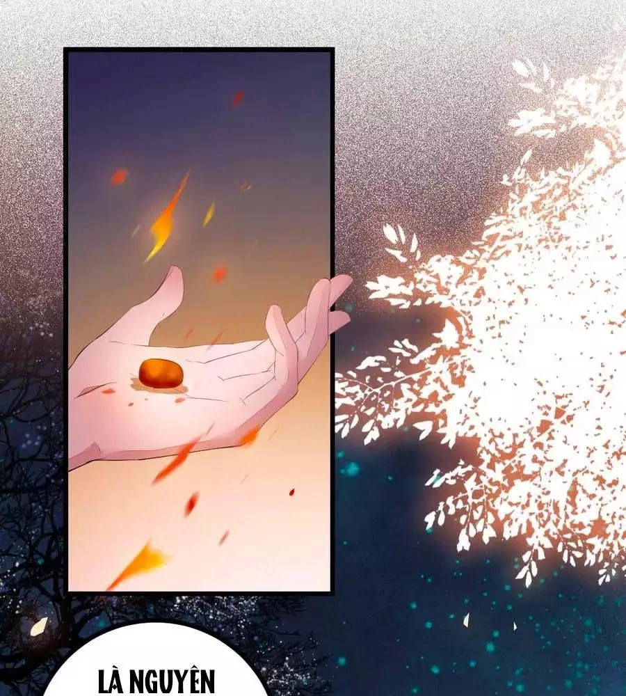 Thần Y Khí Nữ: Ngự Thú Cuồng Phi Của Quỷ Đế Chapter 64 - 13