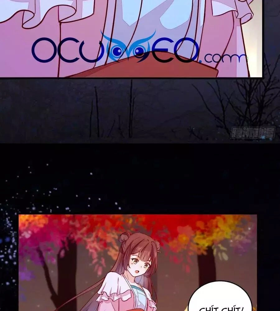 Thần Y Khí Nữ: Ngự Thú Cuồng Phi Của Quỷ Đế Chapter 69 - 5