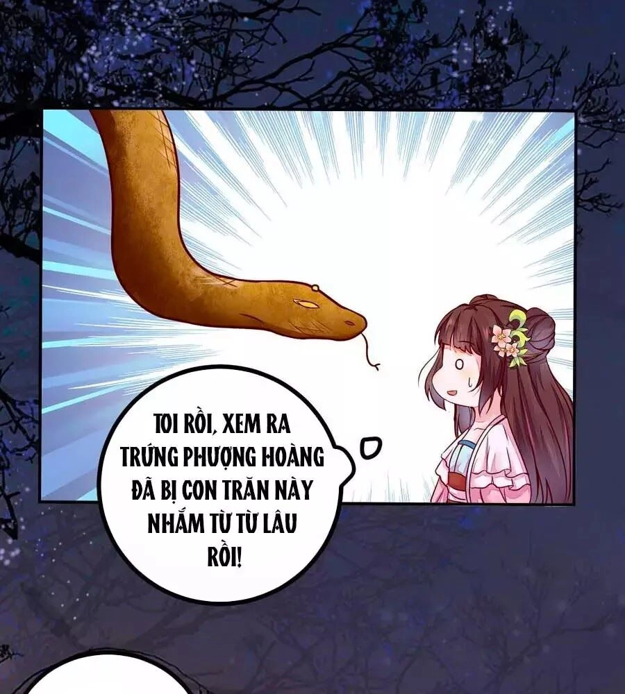 Thần Y Khí Nữ: Ngự Thú Cuồng Phi Của Quỷ Đế Chapter 69 - 38