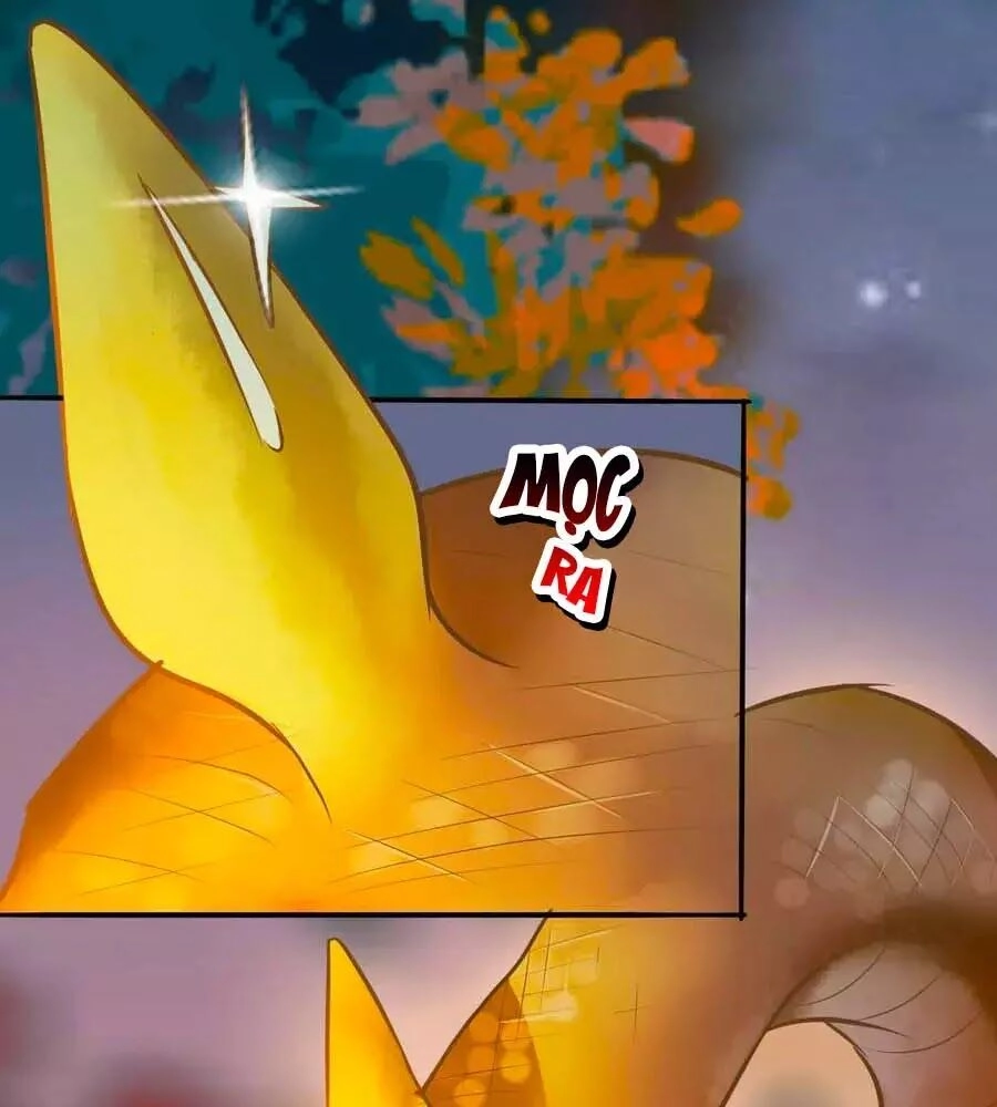 Thần Y Khí Nữ: Ngự Thú Cuồng Phi Của Quỷ Đế Chapter 69 - 71