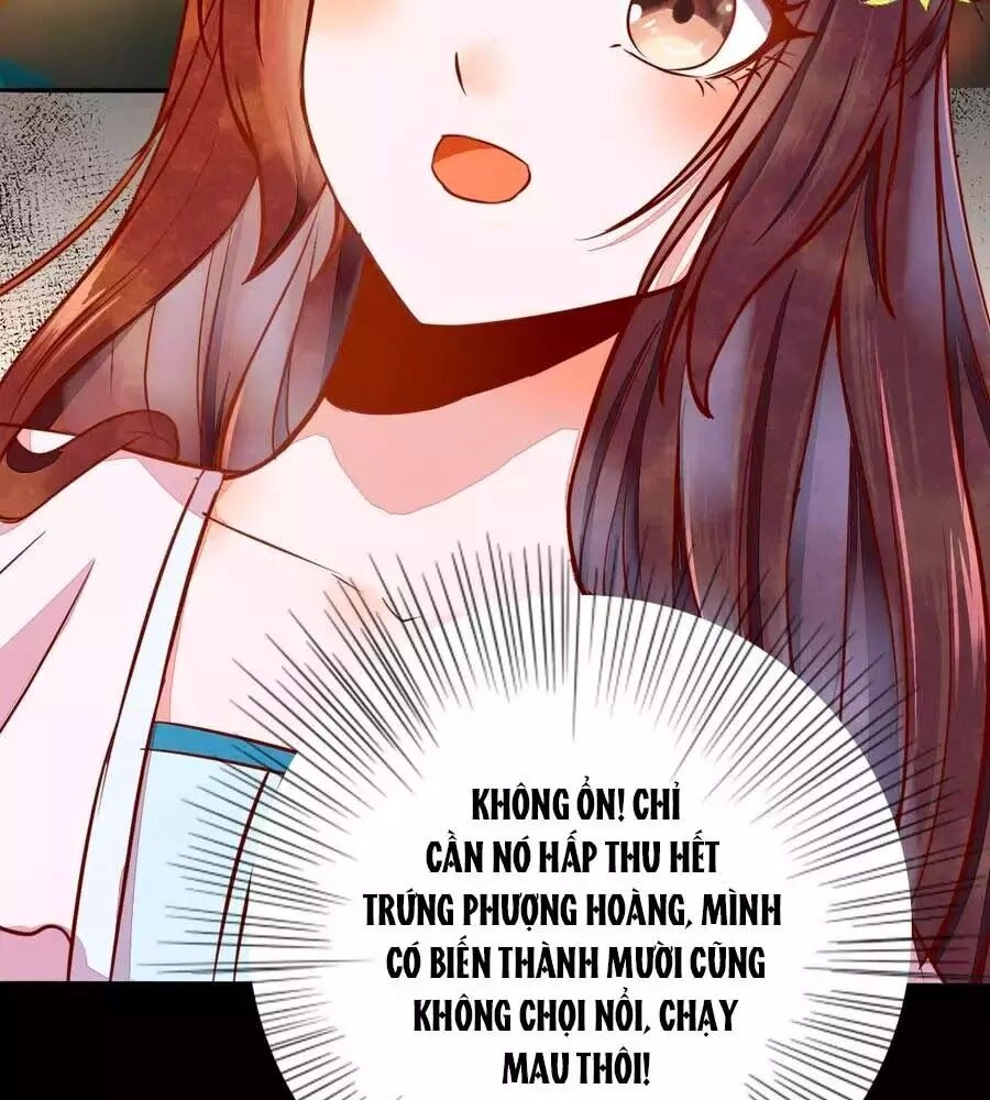 Thần Y Khí Nữ: Ngự Thú Cuồng Phi Của Quỷ Đế Chapter 69 - 74