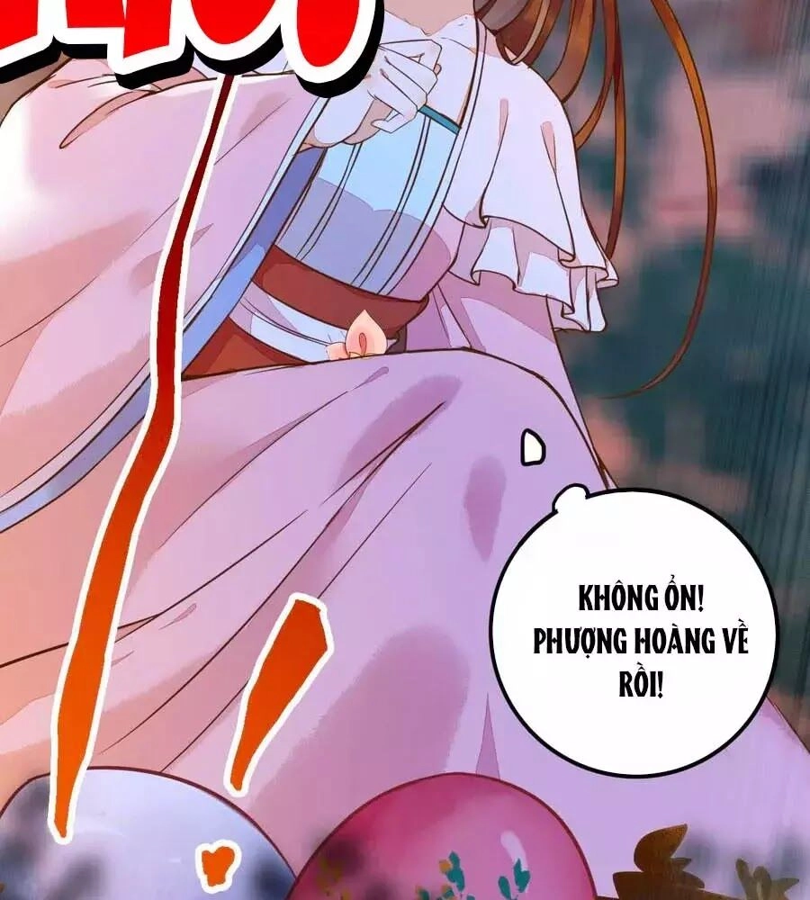 Thần Y Khí Nữ: Ngự Thú Cuồng Phi Của Quỷ Đế Chapter 69 - 80