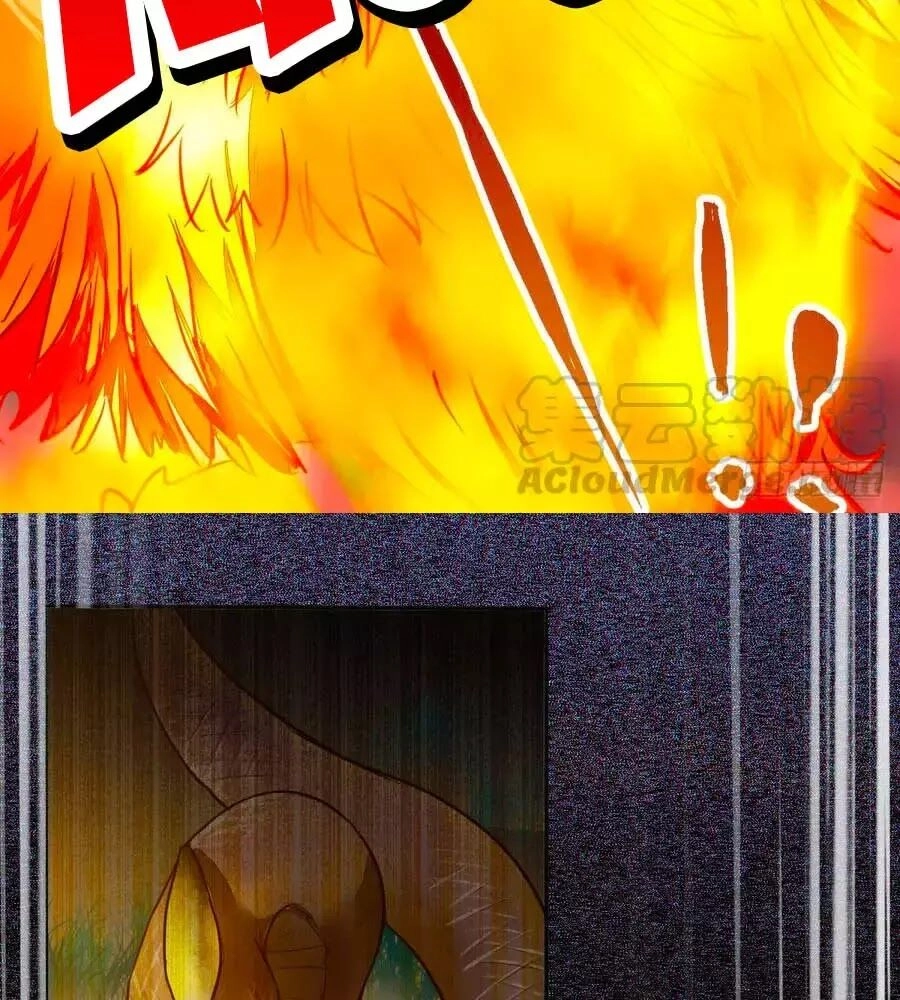 Thần Y Khí Nữ: Ngự Thú Cuồng Phi Của Quỷ Đế Chapter 69 - 90