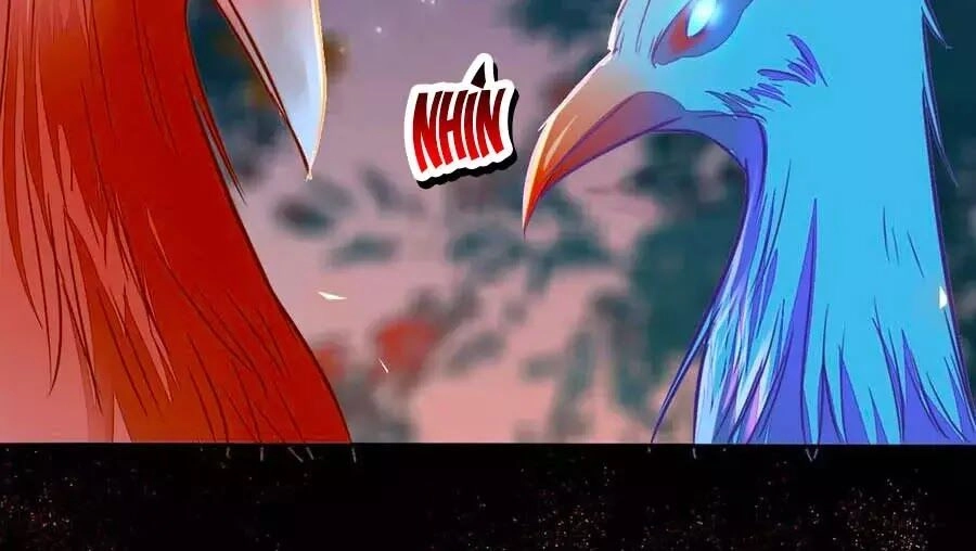 Thần Y Khí Nữ: Ngự Thú Cuồng Phi Của Quỷ Đế Chapter 69 - 114