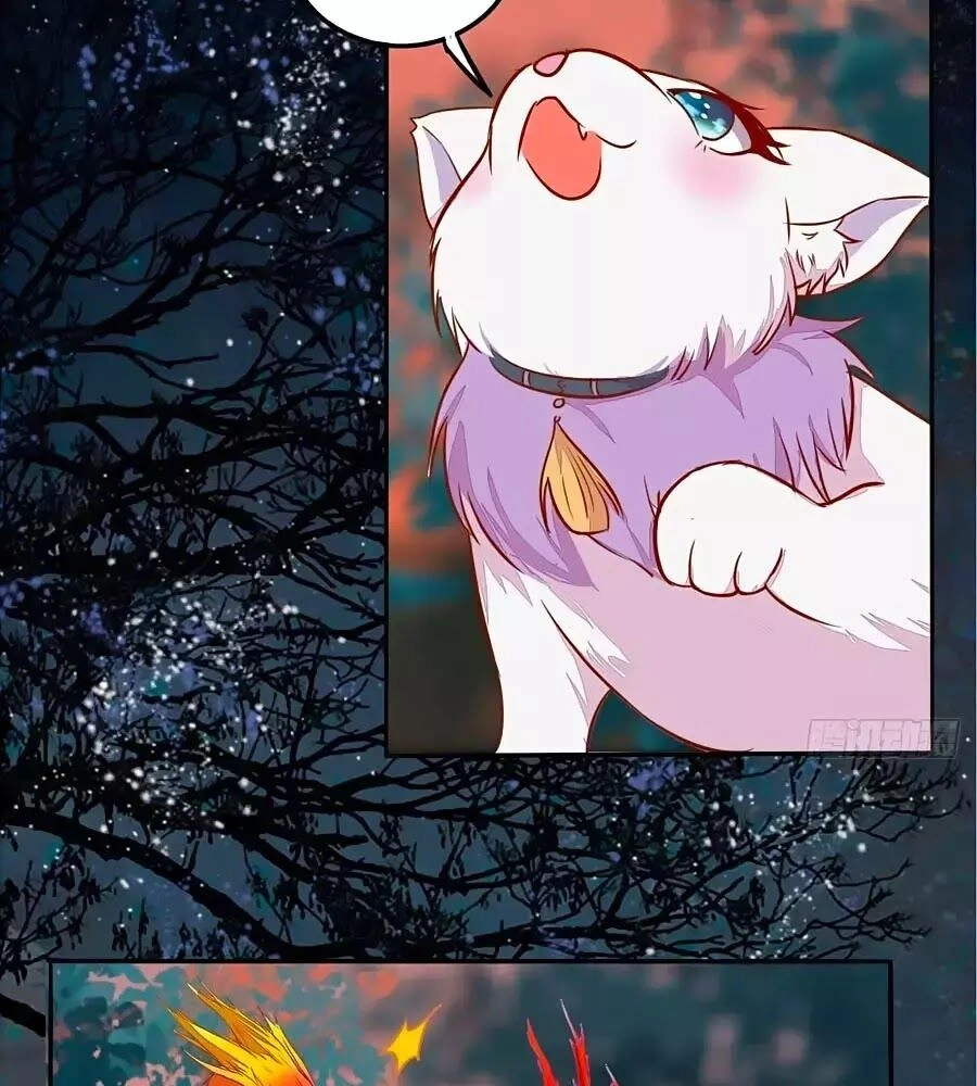 Thần Y Khí Nữ: Ngự Thú Cuồng Phi Của Quỷ Đế Chapter 70 - 2