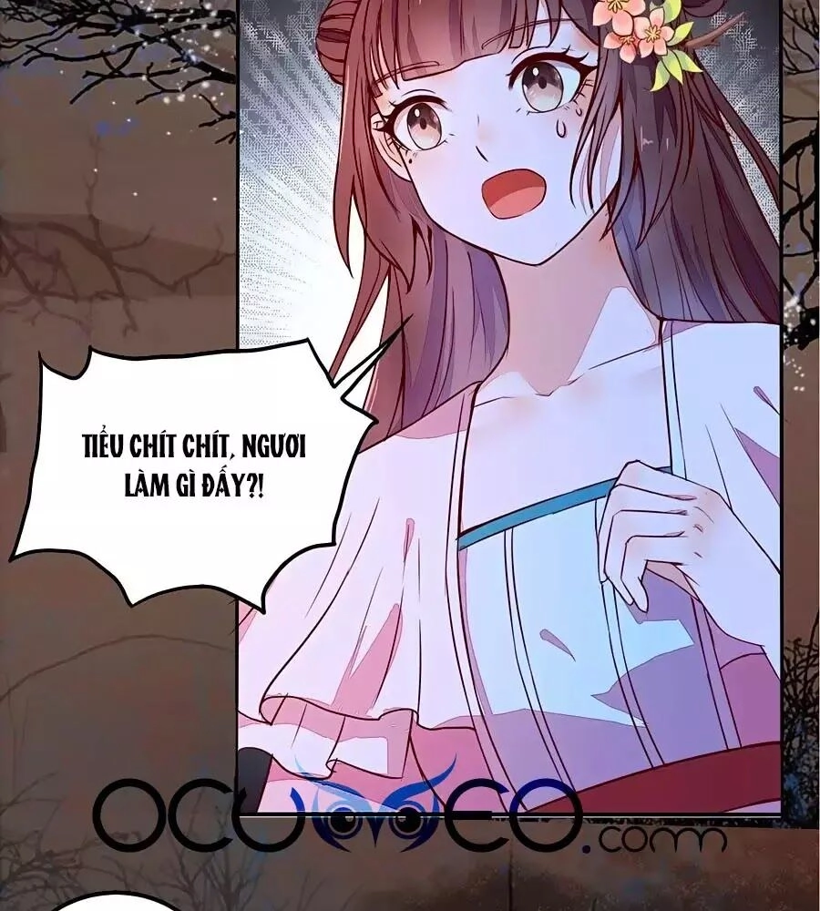 Thần Y Khí Nữ: Ngự Thú Cuồng Phi Của Quỷ Đế Chapter 70 - 5