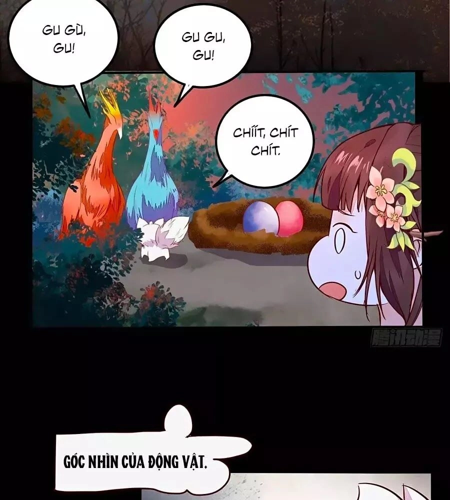 Thần Y Khí Nữ: Ngự Thú Cuồng Phi Của Quỷ Đế Chapter 70 - 6