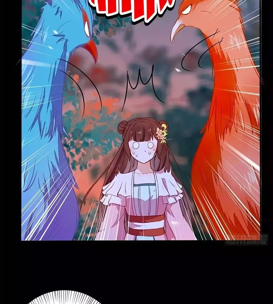 Thần Y Khí Nữ: Ngự Thú Cuồng Phi Của Quỷ Đế Chapter 70 - 13