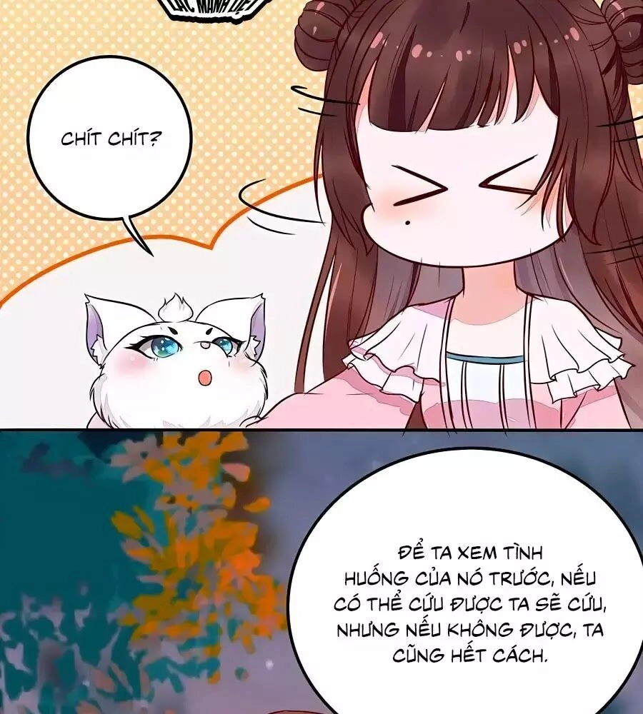 Thần Y Khí Nữ: Ngự Thú Cuồng Phi Của Quỷ Đế Chapter 70 - 22