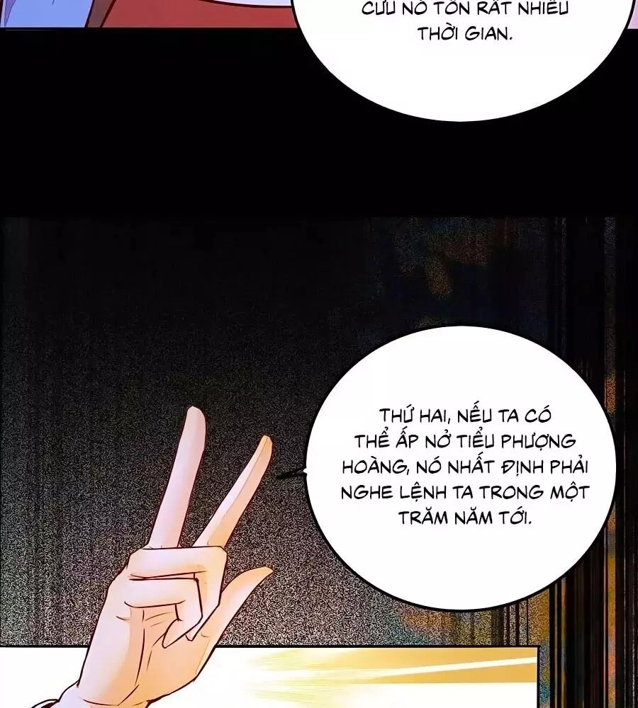 Thần Y Khí Nữ: Ngự Thú Cuồng Phi Của Quỷ Đế Chapter 70 - 49