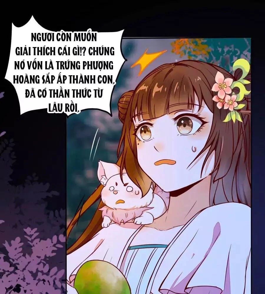 Thần Y Khí Nữ: Ngự Thú Cuồng Phi Của Quỷ Đế Chapter 71 - 1