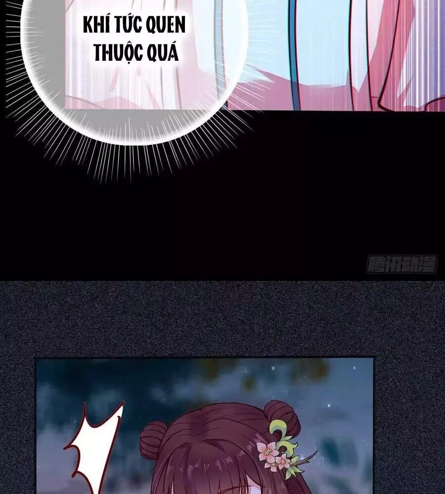 Thần Y Khí Nữ: Ngự Thú Cuồng Phi Của Quỷ Đế Chapter 71 - 76