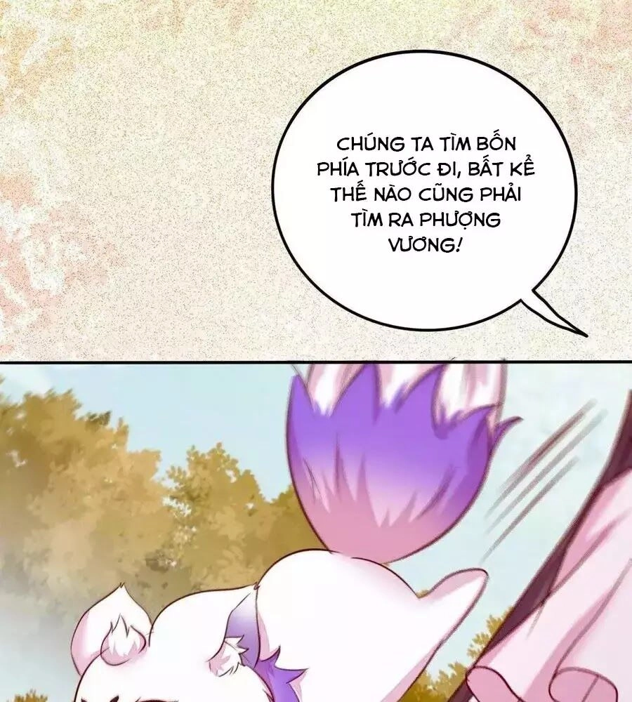 Thần Y Khí Nữ: Ngự Thú Cuồng Phi Của Quỷ Đế Chapter 73 - 68