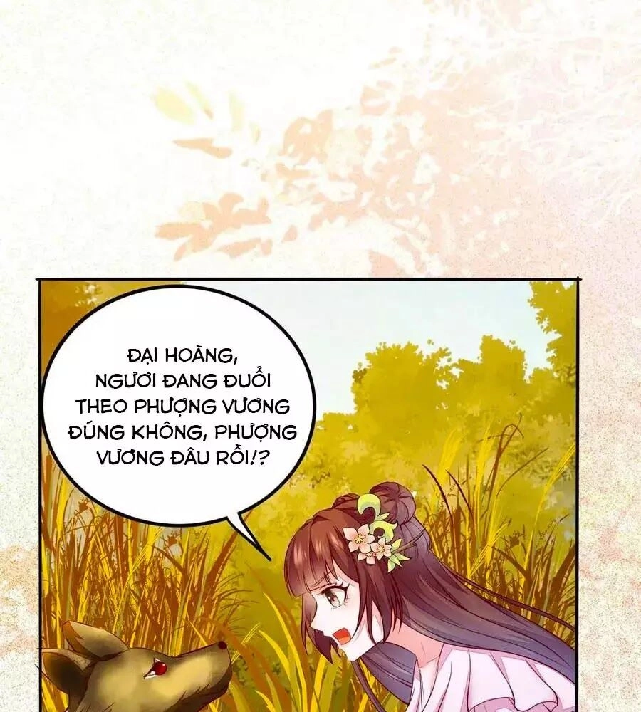 Thần Y Khí Nữ: Ngự Thú Cuồng Phi Của Quỷ Đế Chapter 73 - 77