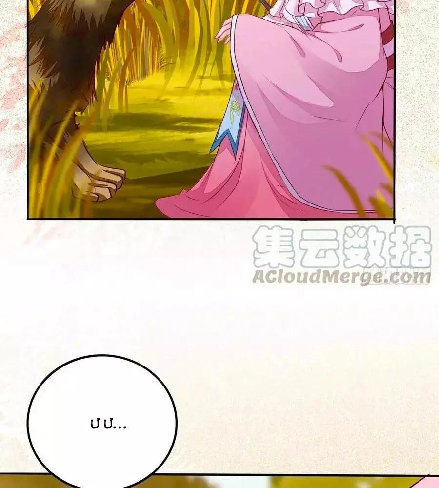 Thần Y Khí Nữ: Ngự Thú Cuồng Phi Của Quỷ Đế Chapter 73 - 78